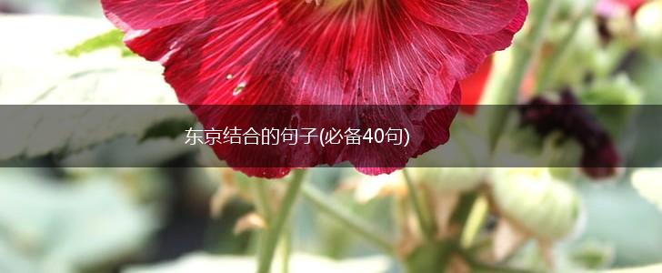 东京结合的句子(必备40句),第1张