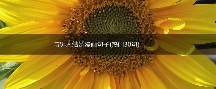 与男人结婚漫画句子(热门30句),第1张