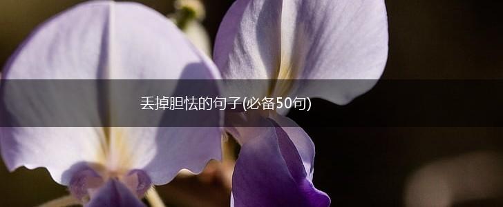 丢掉胆怯的句子(必备50句),第1张