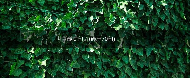 世界最美句子(通用70句),第1张