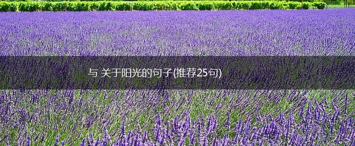 与 关于阳光的句子(推荐25句),第1张