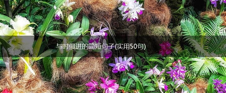 与时俱进的简短句子(实用50句),第1张