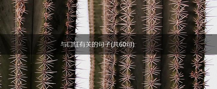 与口红有关的句子(共60句),第1张