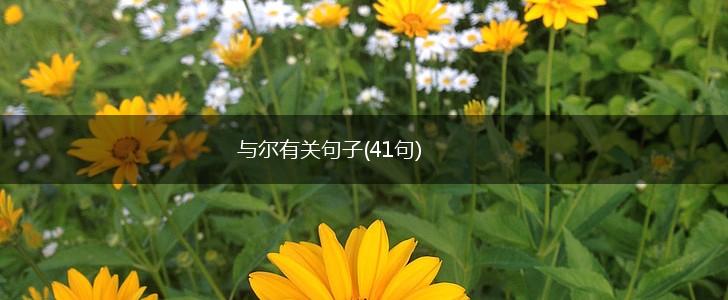 与尔有关句子(41句),第1张