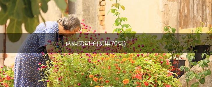 两姐弟句子(实用70句),第1张