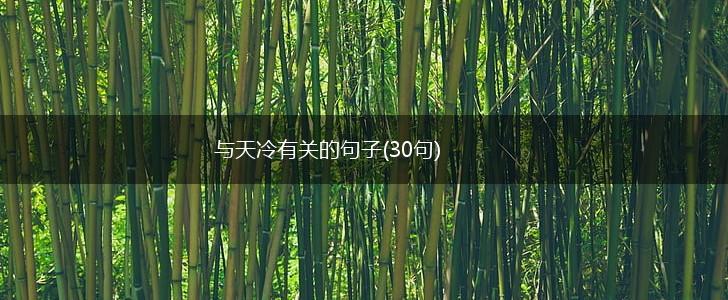 与天冷有关的句子(30句),第1张