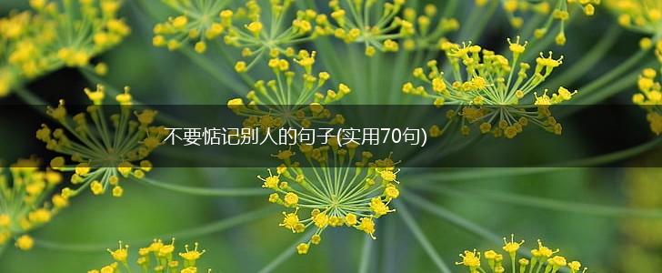 不要惦记别人的句子(实用70句),第1张