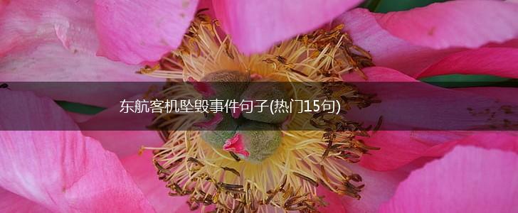 东航客机坠毁事件句子(热门15句),第1张
