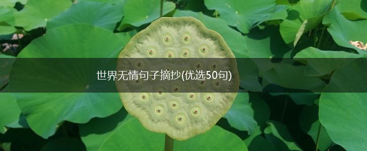世界无情句子摘抄(优选50句),第1张