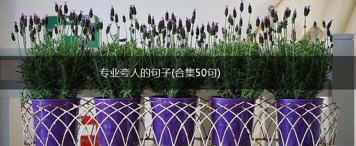 专业夸人的句子(合集50句),第1张