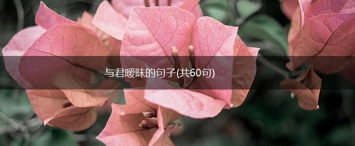 与君暧昧的句子(共60句),第1张