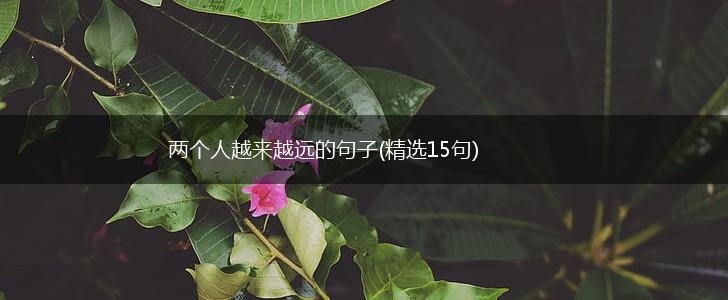 两个人越来越远的句子(精选15句),第1张