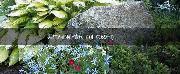 丢东西的心情句子(汇总69句),第1张