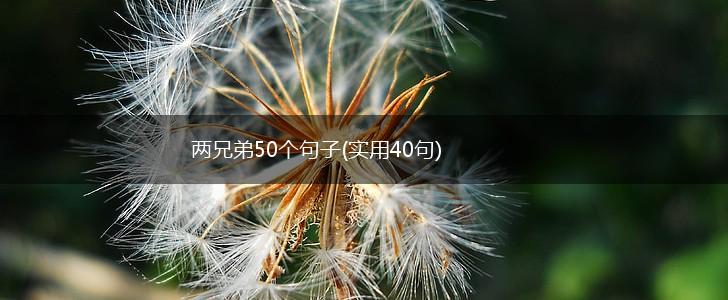 两兄弟50个句子(实用40句),第1张