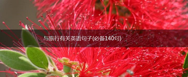 与旅行有关英语句子(必备140句),第1张