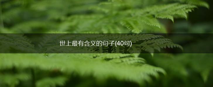 世上最有含义的句子(40句),第1张