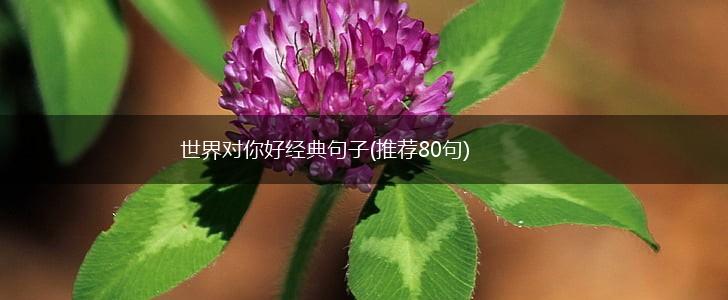 世界对你好经典句子(推荐80句),第1张