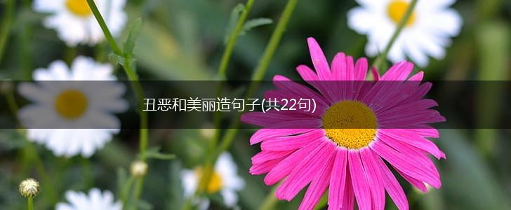 丑恶和美丽造句子(共22句),第1张