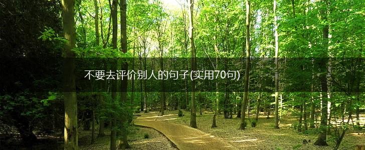 不要去评价别人的句子(实用70句),第1张