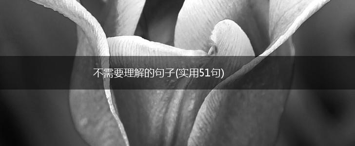 不需要理解的句子(实用51句),第1张