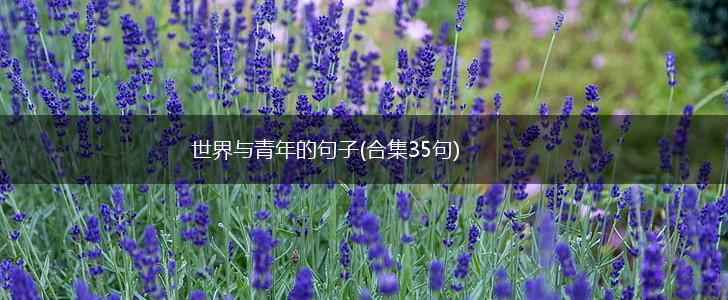 世界与青年的句子(合集35句),第1张