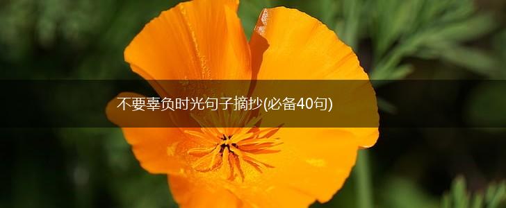 不要辜负时光句子摘抄(必备40句),第1张