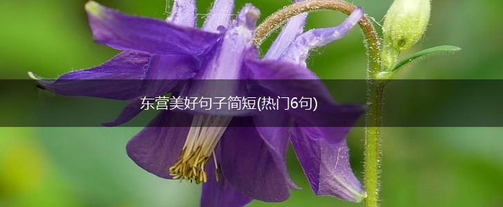 东营美好句子简短(热门6句),第1张