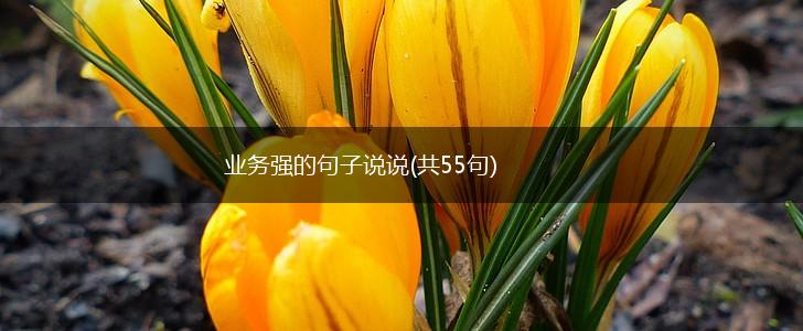 业务强的句子说说(共55句),第1张