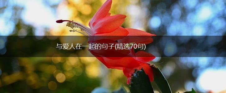 与爱人在一起的句子(精选70句),第1张