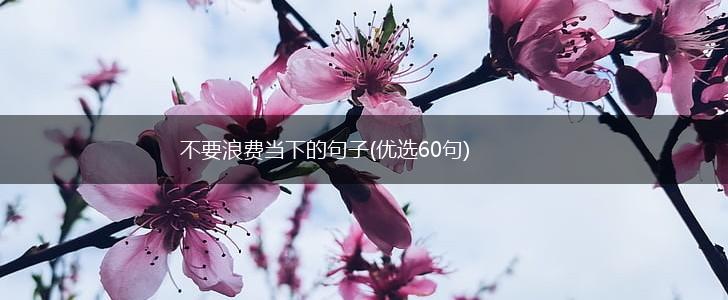 不要浪费当下的句子(优选60句),第1张