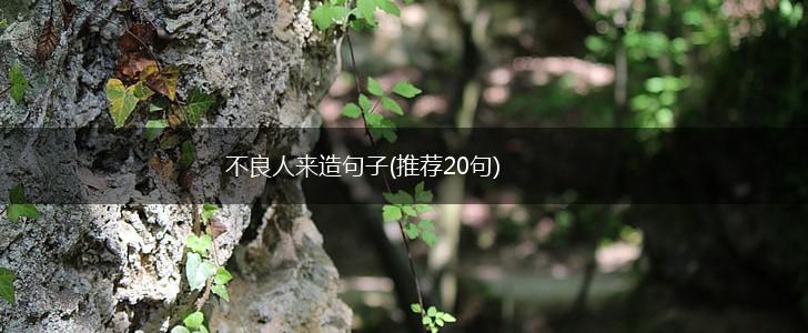 不良人来造句子(推荐20句),第1张