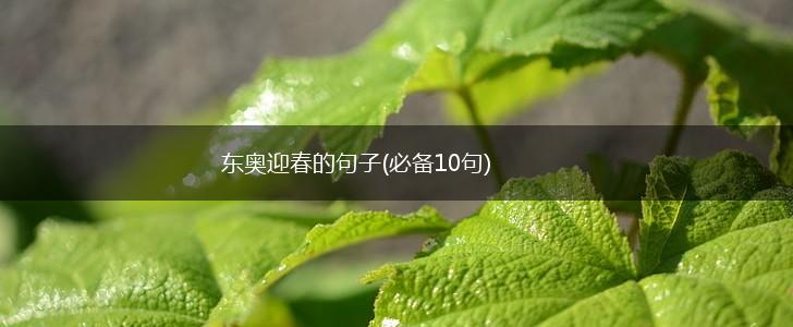 东奥迎春的句子(必备10句),第1张