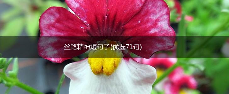 丝路精神短句子(优选71句),第1张
