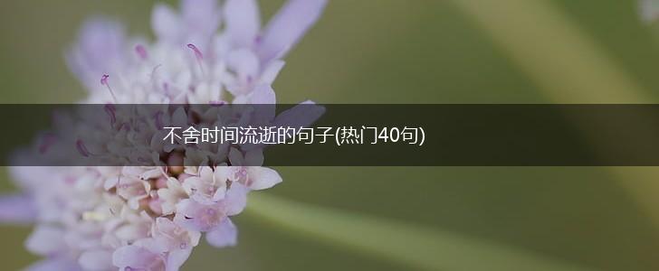 不舍时间流逝的句子(热门40句),第1张