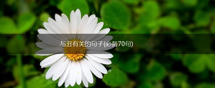 与丑有关的句子(必备70句),第1张