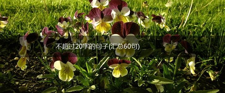 不超过20字的句子(汇总60句),第1张