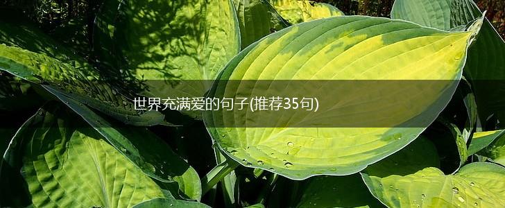 世界充满爱的句子(推荐35句),第1张