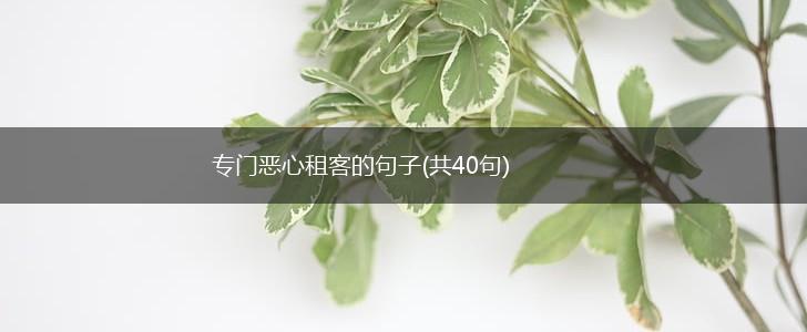 专门恶心租客的句子(共40句),第1张
