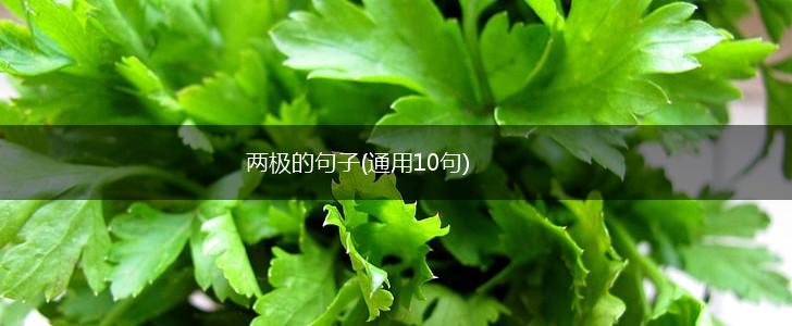 两极的句子(通用10句),第1张