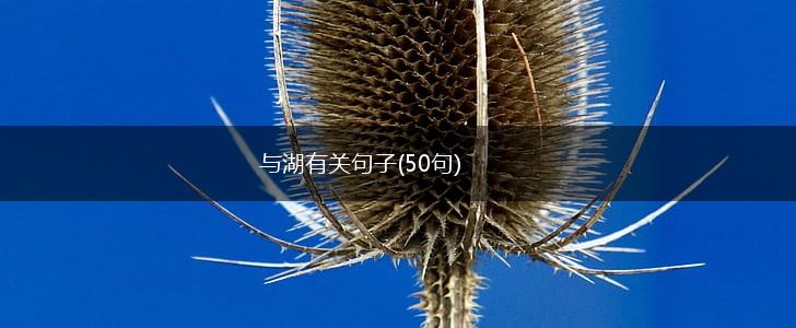 与湖有关句子(50句),第1张