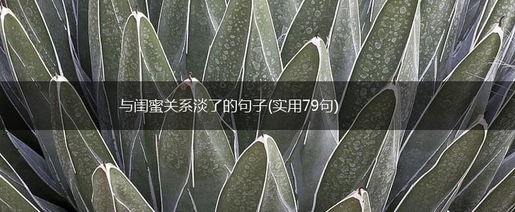 与闺蜜关系淡了的句子(实用79句),第1张