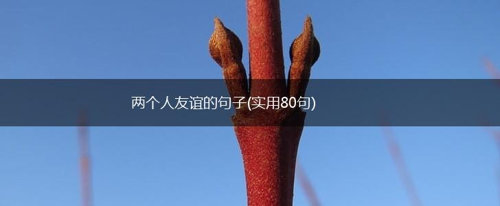 两个人友谊的句子(实用80句),第1张