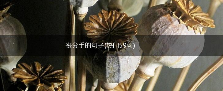 丧分手的句子(热门59句),第1张