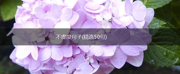 不虚度句子(精选50句),第1张