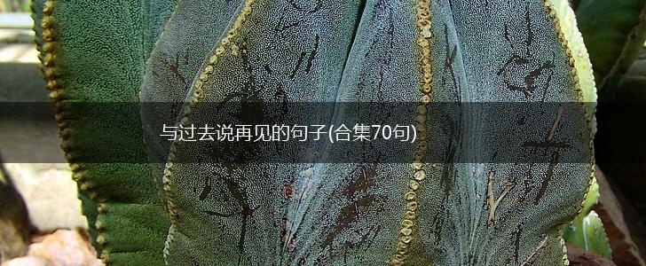 与过去说再见的句子(合集70句),第1张