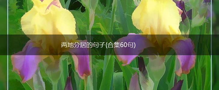 两地分居的句子(合集60句),第1张