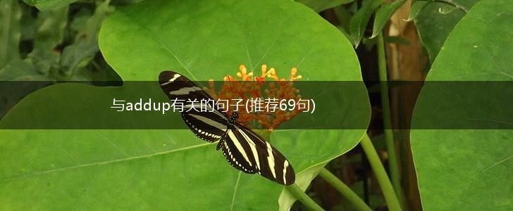 与addup有关的句子(推荐69句),第1张