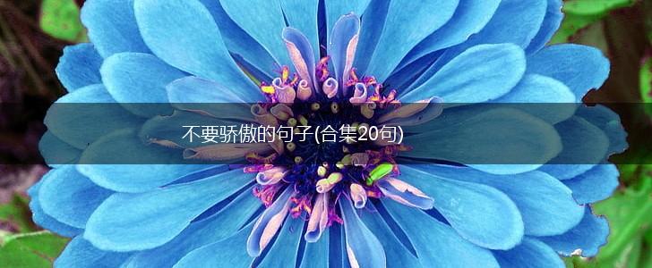 不要骄傲的句子(合集20句),第1张