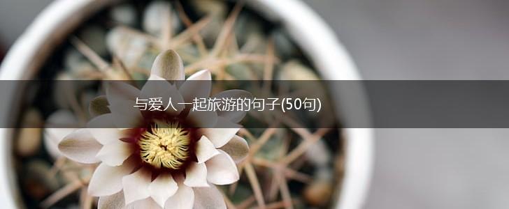 与爱人一起旅游的句子(50句),第1张