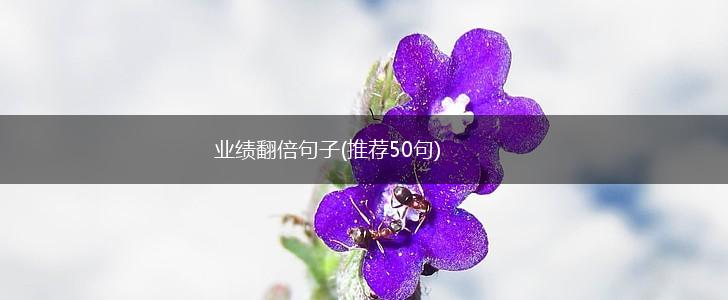 业绩翻倍句子(推荐50句),第1张